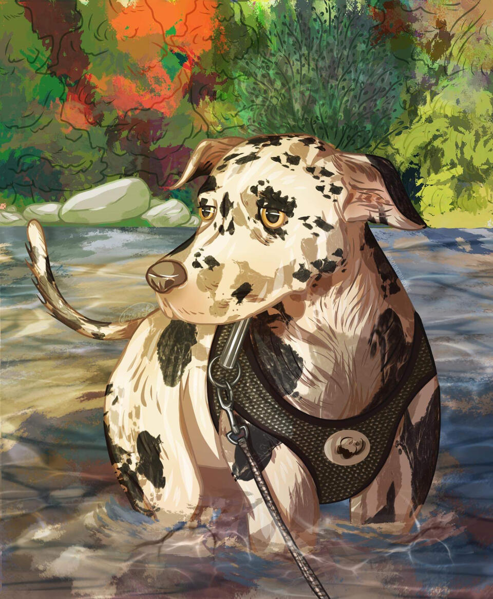 A white/tan and speckled dog with gold eyes waiting through a river with plants and greenery behind it and a little vest
